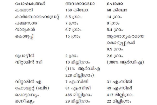 Fruits health