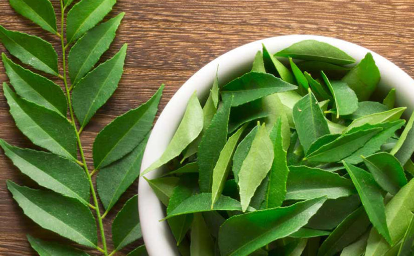 കറിയ്ക്ക് മാത്രമല്ല മുടിയ്ക്കും കറിവേപ്പില