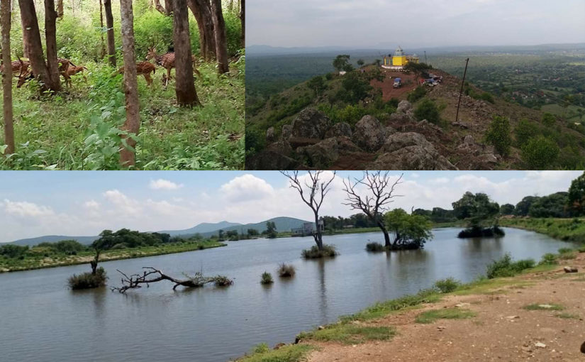 മസിനഗുഡിയിൽ ഒരു മഞ്ഞു കാലത്ത്