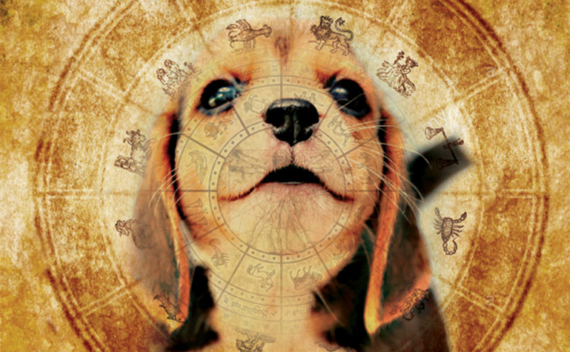 നായ്ക്കുട്ടിക്കും ജാതകം