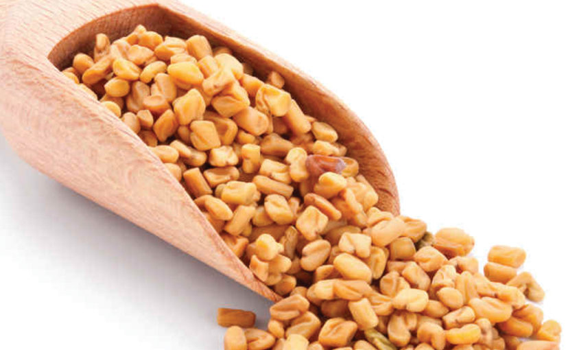 ഉലുവ ഉഷാർ!