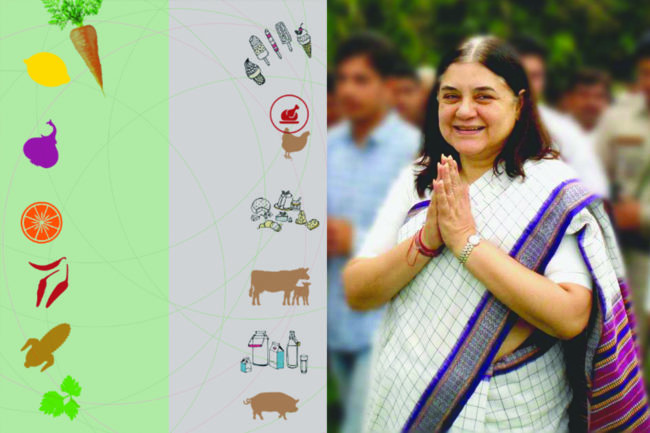 വീഗൻ പ്രസ്ഥാനത്തിലൂടെ ഭൂമിയെ സംരക്ഷിക്കാം