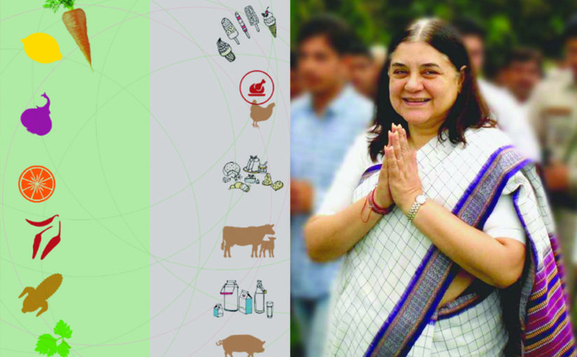 വീഗൻ പ്രസ്ഥാനത്തിലൂടെ ഭൂമിയെ സംരക്ഷിക്കാം