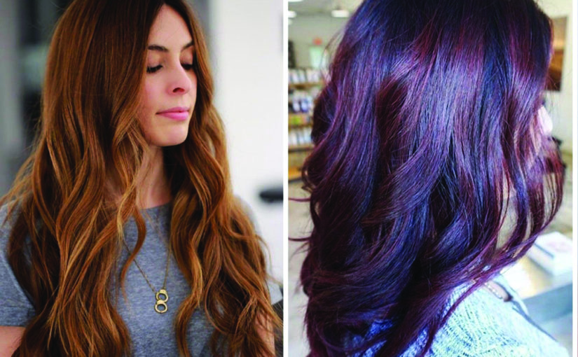 ഹെയർ കളേഴ്സ് ഫോർ സെലിബ്രേഷൻസ്