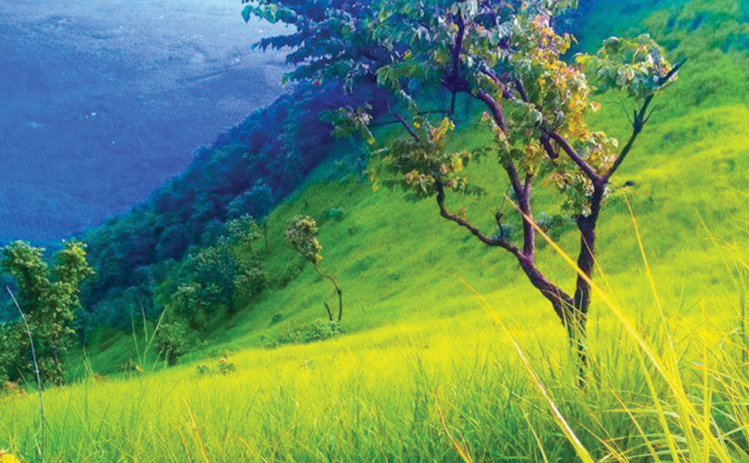 ചെക്കുന്ന് മലയിലെ നിറക്കൂട്ട്