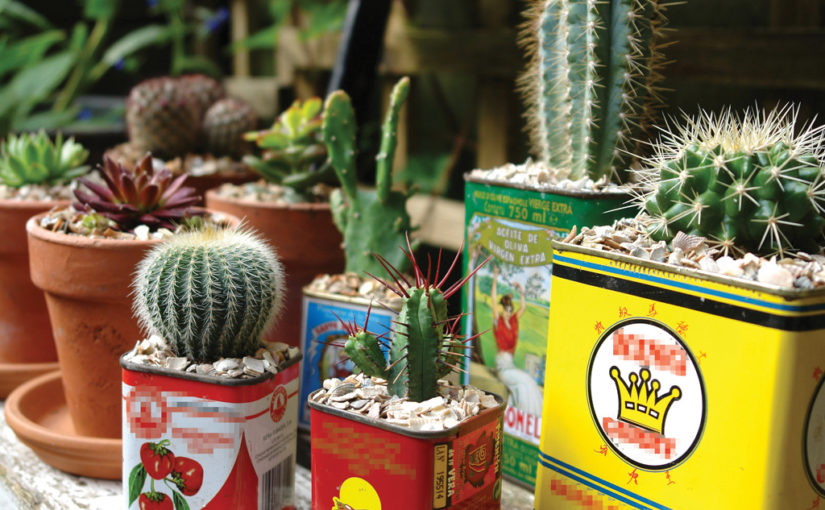 വേസ്റ്റ് മെറ്റീരിയൽ കൊണ്ട് ടെറസ് ഗാർഡൻ ഒരുക്കാം