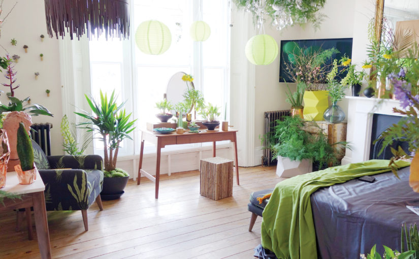 വീട്ടിനുള്ളിൽ മലിനീകരണം തടയും ചെടികൾ