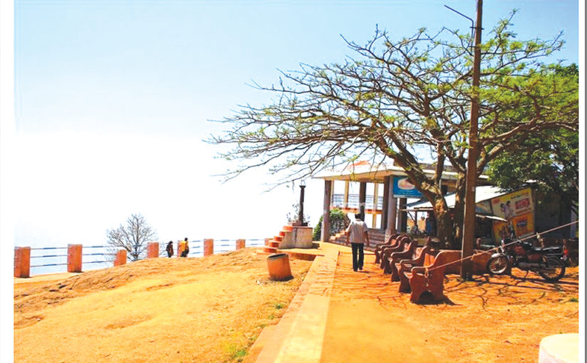 തടാകക്കരയിലെ കാട്