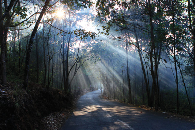 സൂര്യനുണരാത്ത ഗവി