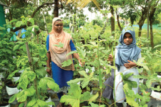 organic farmer haseena