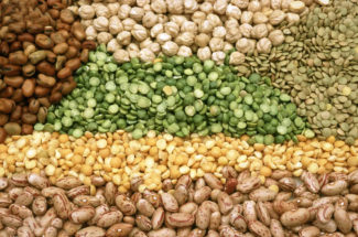 pulses benefits