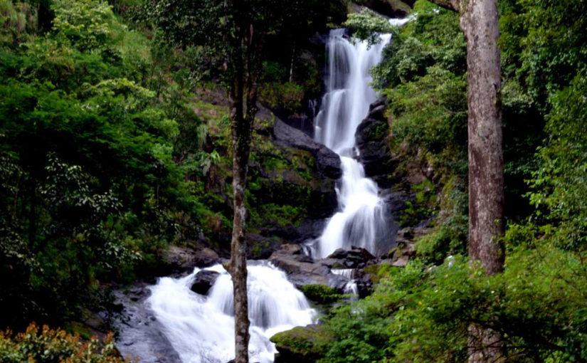 ഇരിപ്പുവിലേക്കൊരു മഴയാത്ര