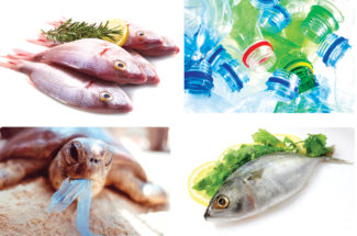 plastic fish - marine pollution