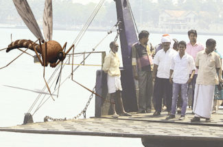 kochi and mosquito problem