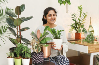 ഫ്ളാറ്റുകളെ ഹരിതാഭമാക്കാൻ: Indoor Plants