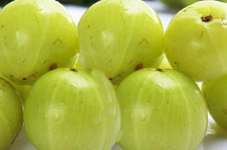 nellikka gooseberry