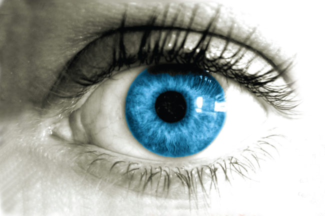 വർണ്ണാന്ധത നിറങ്ങൾ നഷ്ടപ്പെടുന്ന ലോകം