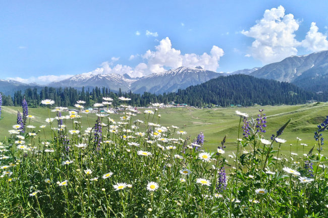 Gulmarg- ഭൂമിയിലെ സ്വർഗം