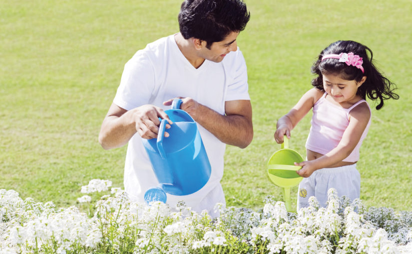 വേനൽക്കാലത്ത് ഈ ചെടികൾ നട്ടുപിടിപ്പിക്കുക