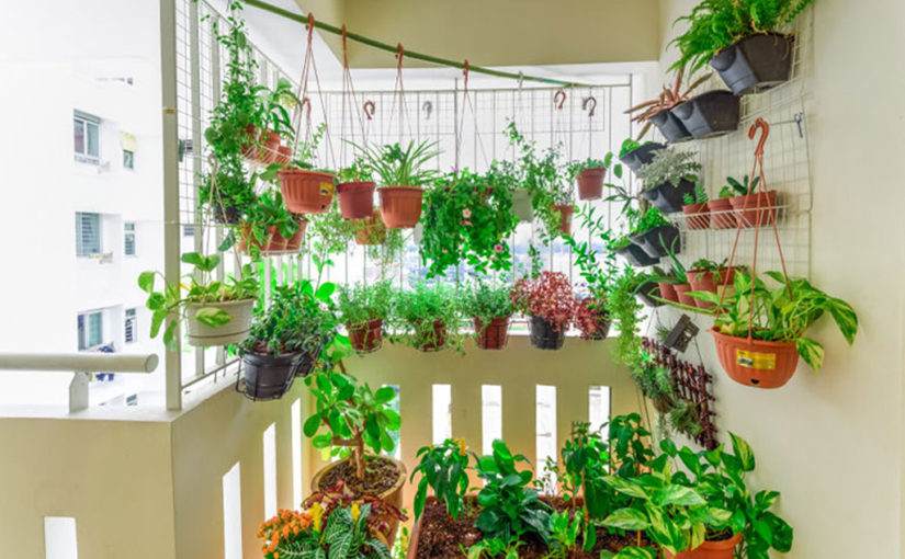 ഹാംഗിംഗ് ഗാർഡൻ