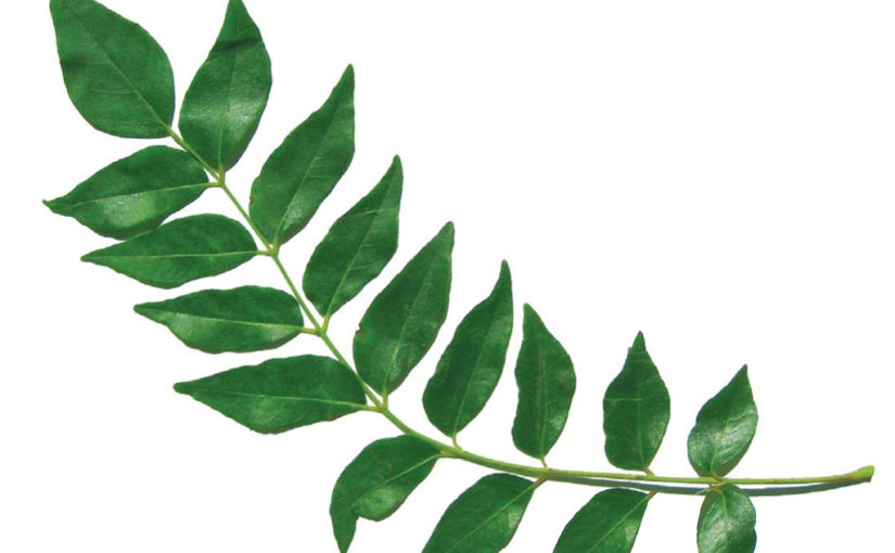 കളയല്ലേ കറിവേപ്പില