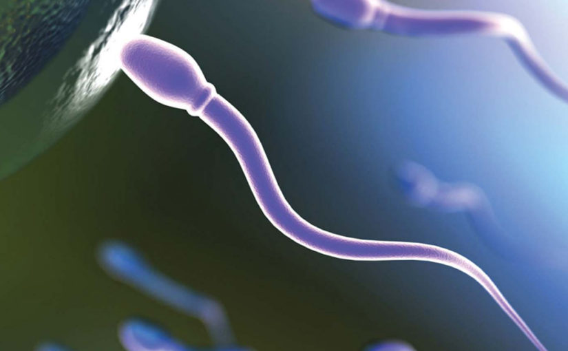 ബീജ ബാങ്കുകൾ മക്കളില്ലാത്തവരുടെ പ്രത്യാശ