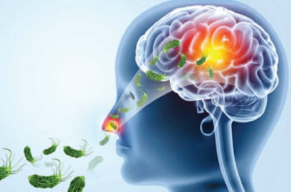 തലച്ചോർതീനി അമീബ കിണർ വെള്ളത്തിലും ഉണ്ടോ?