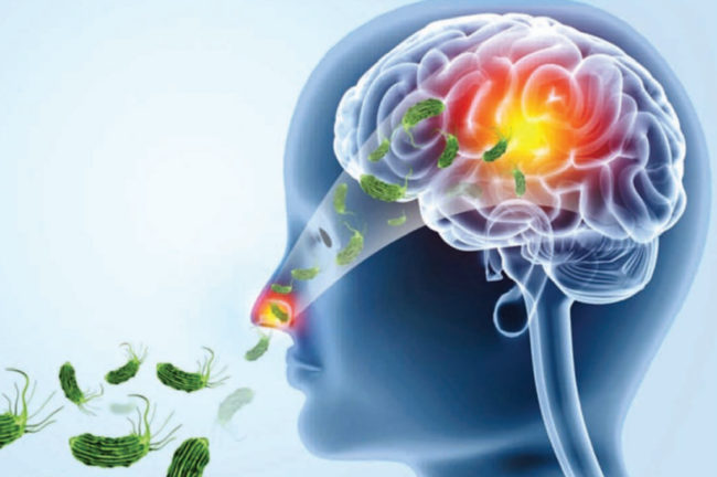 തലച്ചോർതീനി അമീബ കിണർ വെള്ളത്തിലും ഉണ്ടോ?