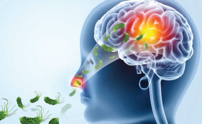 തലച്ചോർതീനി അമീബ കിണർ വെള്ളത്തിലും ഉണ്ടോ?