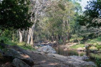 ചിന്നാറിന്റെ ആത്മാവിലേക്ക്