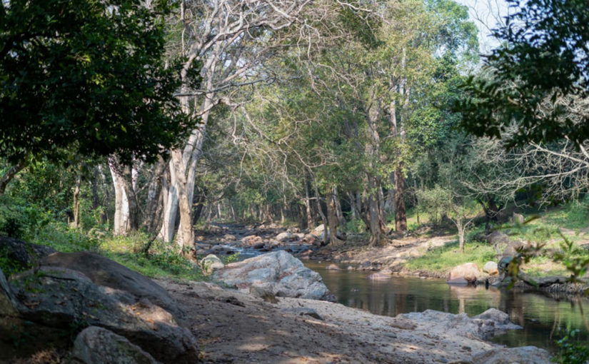 ചിന്നാറിന്റെ ആത്മാവിലേക്ക്